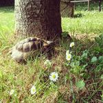 Edmund Murphy - @9reeds - Instagram
