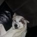 Edmund Olsen - Facebook