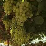 Edmundo Huaman Huamani - Facebook