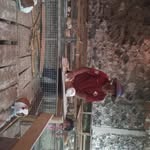 Edmundo Mamani Huaman - @edmundomamanihuaman2024 - Instagram