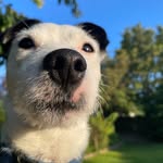 Edmundo Sullca Huaman - @edmundo.dk - Instagram