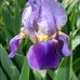 Edna Aldridge - Facebook