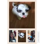 Edna Baker - @shaylamel - Instagram