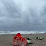 Edna Barnett - @egreenthumb - Instagram