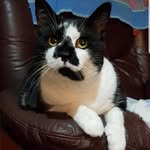 Edna Bennett - @mothermohair49 - Instagram