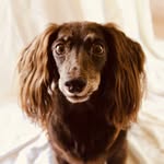 Edna Moe Bennett - @ednamoebennett - Instagram
