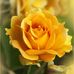 Edna Benson - Facebook