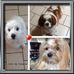 Edna Bird - Facebook
