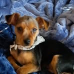 Edna Jane Boatwright - Facebook