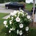 Edna Boone - Facebook