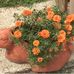 Edna Bowles - Facebook