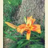 Edna Boyd - @edna.boyd - TikTok