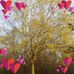 Branch Edna - Facebook