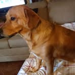 Edna Hale Broadbent Broadbent - Facebook