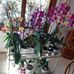 Edna Brunner - Facebook