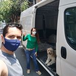 Edna & Bruno - @chombi_mood - Instagram