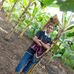 Edna Bruno - Facebook