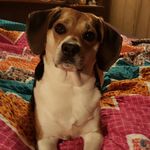 Edna Burchell - @burchelledna - Instagram