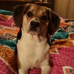 Edna Burchell - @burchelledna - Instagram