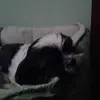 Edna Padilla215 - @ednaburgos09 - TikTok