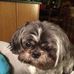 Edna Carpenter - Facebook