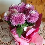 Edna Chaseling - @ednachaseling - Instagram