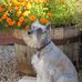 Edna Childers - Facebook