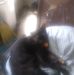 Edna Coffey - Facebook