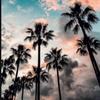 Edna Cole - @edna.cole0 - TikTok
