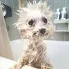 Edna Conners - @edna.conners - TikTok