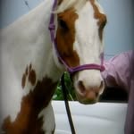 Edna Gonzalez Constante - @calidrm_17 - Instagram