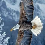 Edna Cooke - Facebook