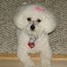 Edna Coppage - Facebook