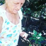 Edna Corrêa Yamaciro - @ednacorreayamaciro - Instagram