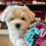 Edna - @ednacoton - Instagram