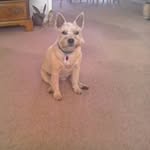 Edna Cox - @cindyedna4 - Instagram