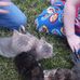 Edna Creech - Facebook