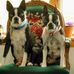 John Edna Crooks - Facebook