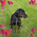 Edna Cowe - Facebook