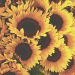 Edna - @_ednadavila - Instagram