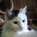 Edna Dowd - Facebook