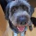 Edna Dowdall - Facebook