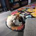 Edna Dowell - Facebook