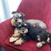 Edna Down - Facebook