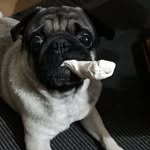 Edna Fleming - @flemingedna - Instagram