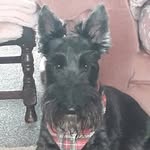 Edna Foxcroft - @ednafoxcroft - Instagram