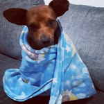 Edna Garzón - @edna.garzon.masmela - Instagram