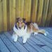 Edna Gibbons - Facebook