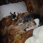 Edna Gilbert - @edna.gilbert.39 - Instagram