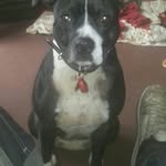 Edna M Giles - @ednamgiles - Instagram